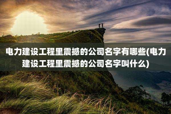 电力建设工程里震撼的公司名字有哪些(电力建设工程里震撼的公司名字叫什么)