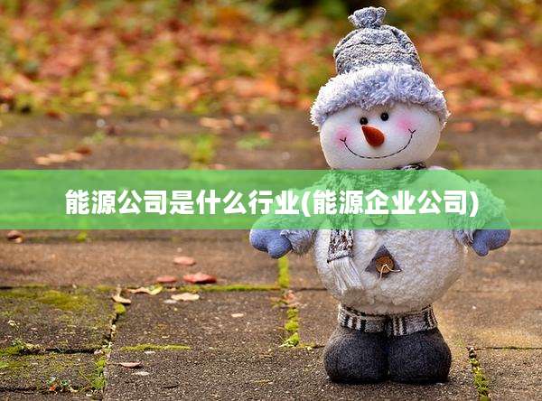 能源公司是什么行业(能源企业公司)