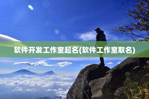 软件开发工作室起名(软件工作室取名)