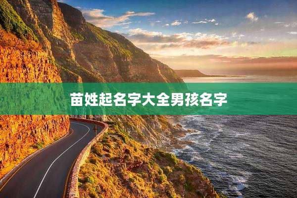 苗姓起名字大全男孩名字