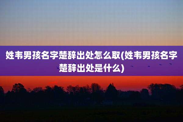 姓韦男孩名字楚辞出处怎么取(姓韦男孩名字楚辞出处是什么)