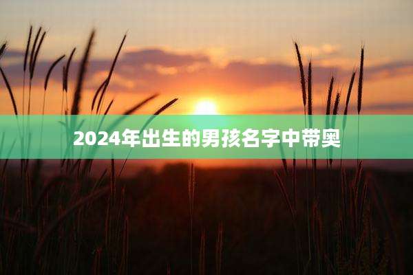 2024年出生的男孩名字中带奥