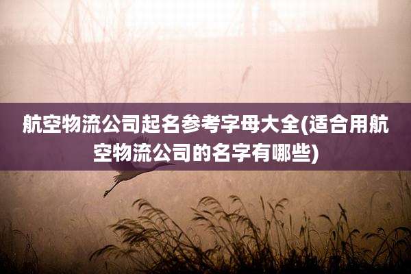航空物流公司起名参考字母大全(适合用航空物流公司的名字有哪些)