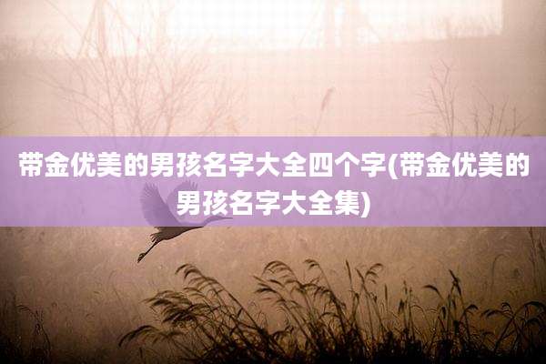 带金优美的男孩名字大全四个字(带金优美的男孩名字大全集)