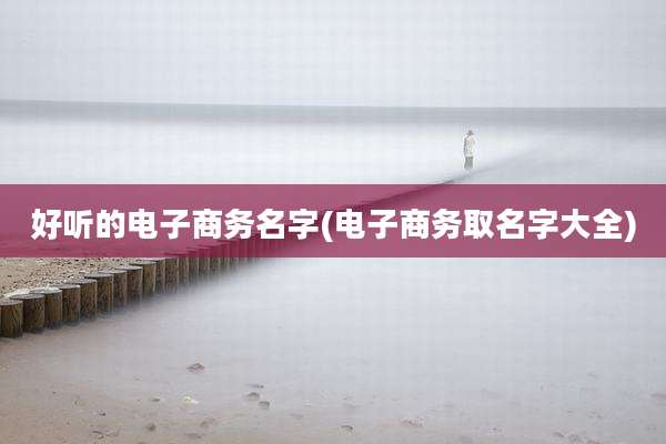 好听的电子商务名字(电子商务取名字大全)