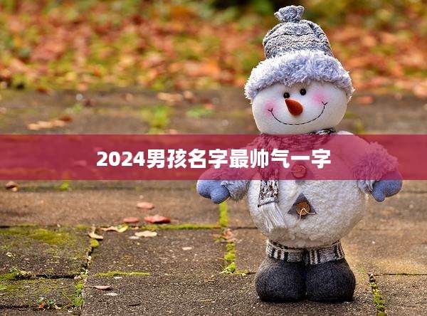2024男孩名字最帅气一字