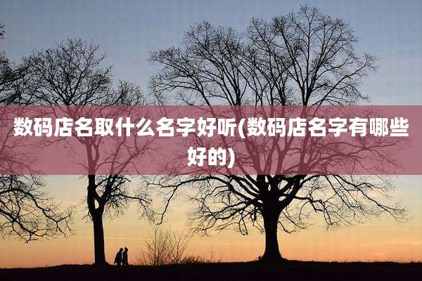 数码店名取什么名字好听(数码店名字有哪些好的)