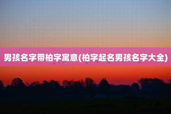 男孩名字带柏字寓意(柏字起名男孩名字大全)