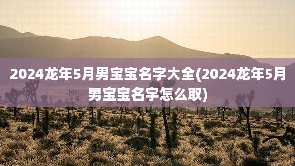 2024龙年5月男宝宝名字大全(2024龙年5月男宝宝名字怎么取)