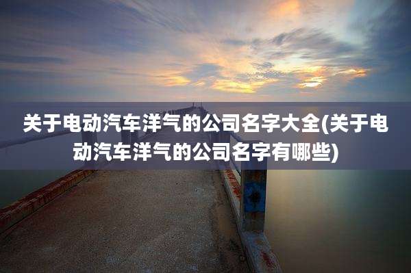 关于电动汽车洋气的公司名字大全(关于电动汽车洋气的公司名字有哪些)