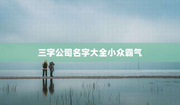 三字公司名字大全小众霸气