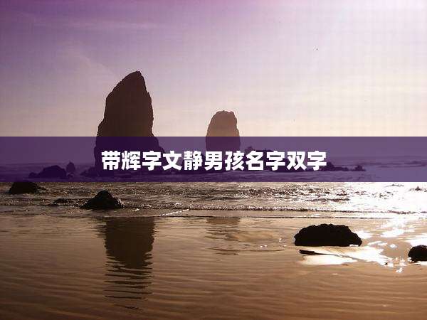 带辉字文静男孩名字双字