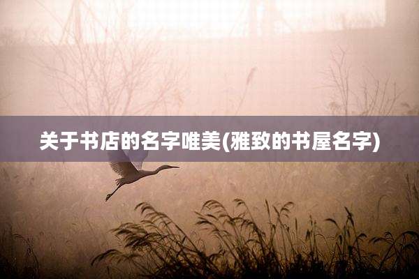 关于书店的名字唯美(雅致的书屋名字)