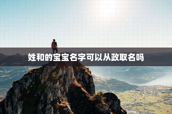 姓和的宝宝名字可以从政取名吗