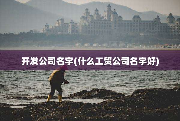 开发公司名字(什么工贸公司名字好)