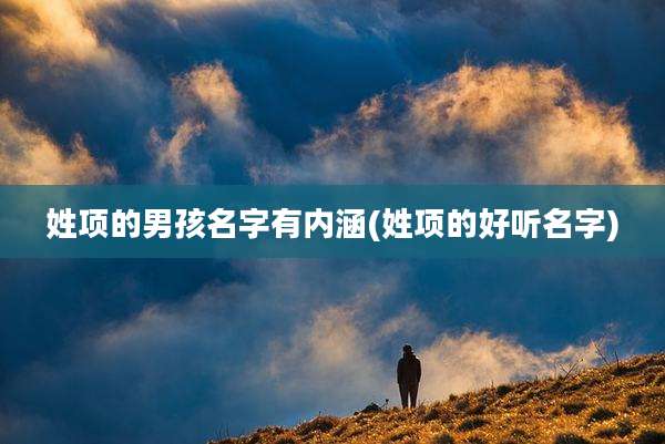 姓项的男孩名字有内涵(姓项的好听名字)