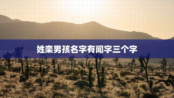 姓栾男孩名字有闻字三个字