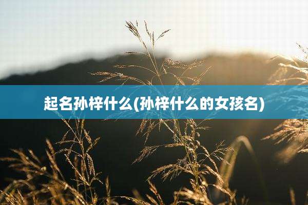 起名孙梓什么(孙梓什么的女孩名)