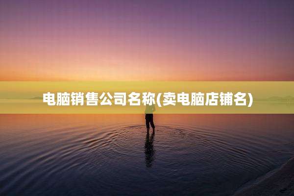 电脑销售公司名称(卖电脑店铺名)