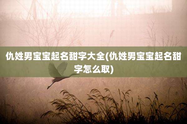 仇姓男宝宝起名甜字大全(仇姓男宝宝起名甜字怎么取)
