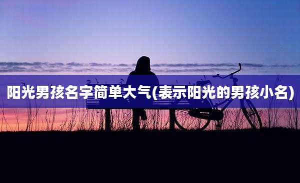 阳光男孩名字简单大气(表示阳光的男孩小名)