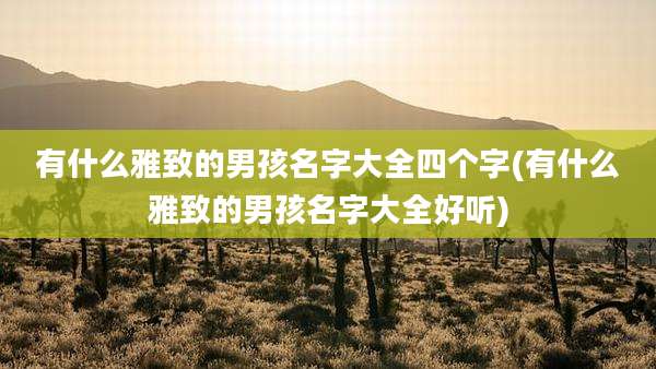 有什么雅致的男孩名字大全四个字(有什么雅致的男孩名字大全好听)