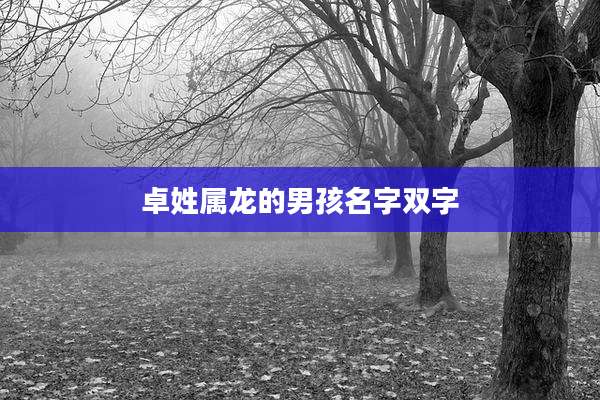 卓姓属龙的男孩名字双字