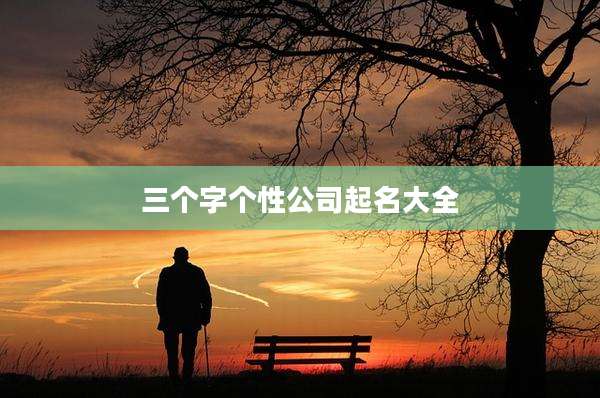 三个字个性公司起名大全