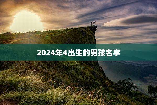 2024年4出生的男孩名字