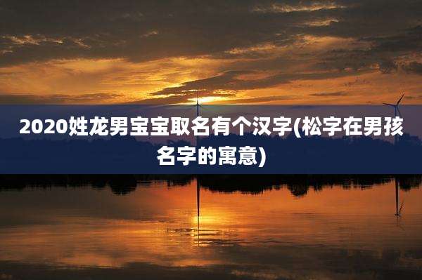 2020姓龙男宝宝取名有个汉字(松字在男孩名字的寓意)
