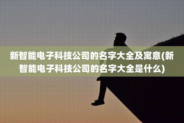 新智能电子科技公司的名字大全及寓意(新智能电子科技公司的名字大全是什么)