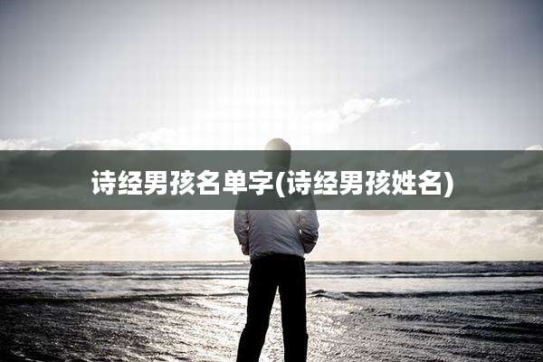 诗经男孩名单字(诗经男孩姓名)