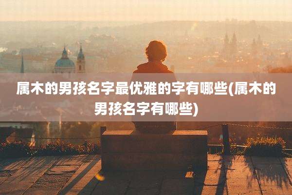 属木的男孩名字最优雅的字有哪些(属木的男孩名字有哪些)