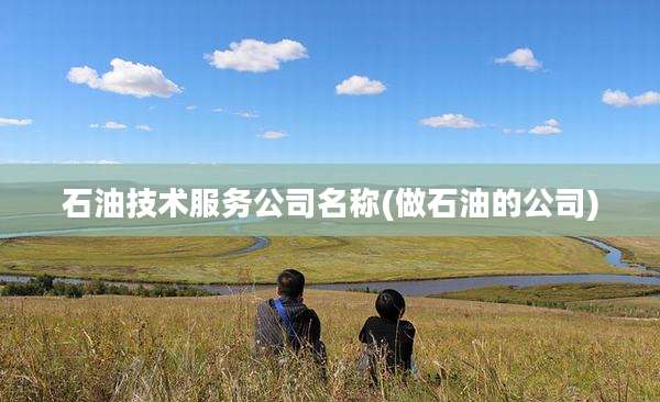 石油技术服务公司名称(做石油的公司)