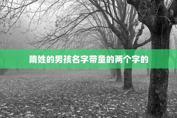 隋姓的男孩名字带童的两个字的