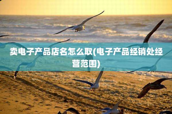 卖电子产品店名怎么取(电子产品经销处经营范围)