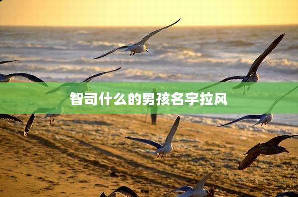 智司什么的男孩名字拉风