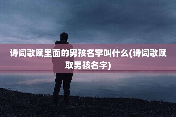 诗词歌赋里面的男孩名字叫什么(诗词歌赋取男孩名字)
