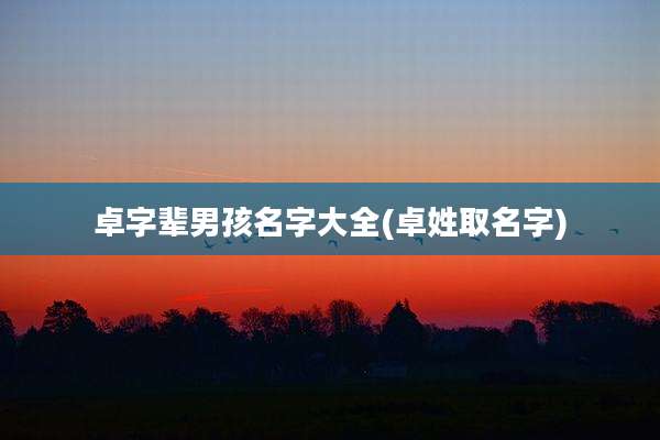 卓字辈男孩名字大全(卓姓取名字)