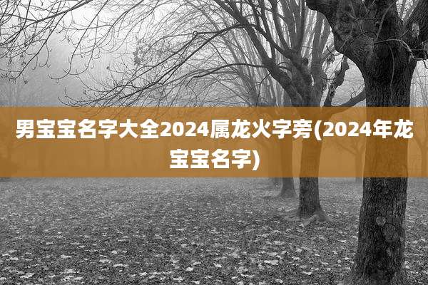 男宝宝名字大全2024属龙火字旁(2024年龙宝宝名字)