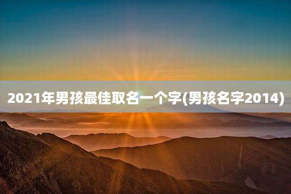 2021年男孩最佳取名一个字(男孩名字2014)