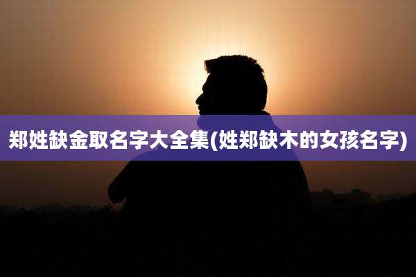 郑姓缺金取名字大全集(姓郑缺木的女孩名字)