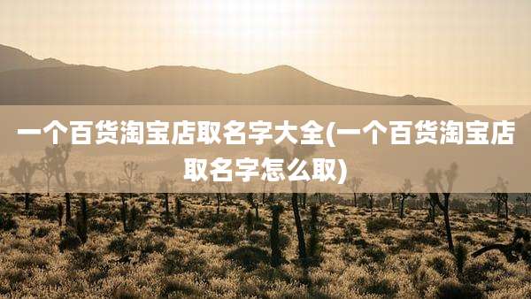 一个百货淘宝店取名字大全(一个百货淘宝店取名字怎么取)