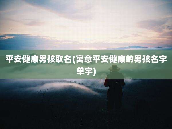 平安健康男孩取名(寓意平安健康的男孩名字单字)