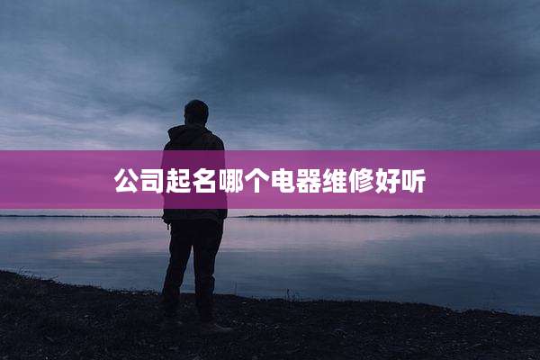 公司起名哪个电器维修好听