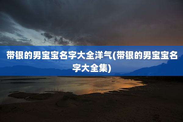 带银的男宝宝名字大全洋气(带银的男宝宝名字大全集)
