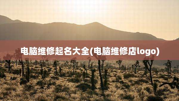 电脑维修起名大全(电脑维修店logo)