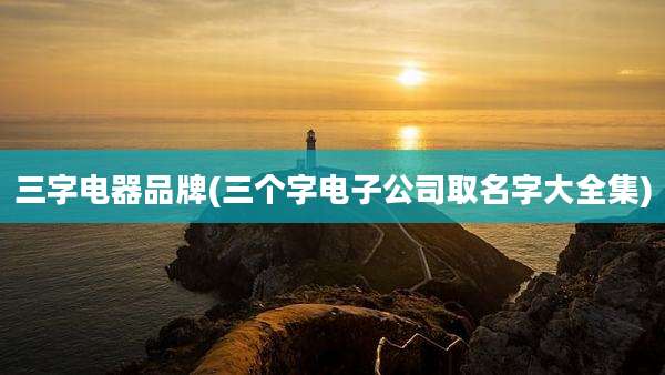 三字电器品牌(三个字电子公司取名字大全集)