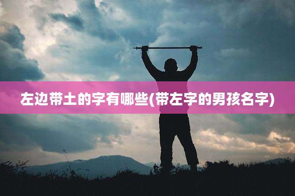 左边带土的字有哪些(带左字的男孩名字)