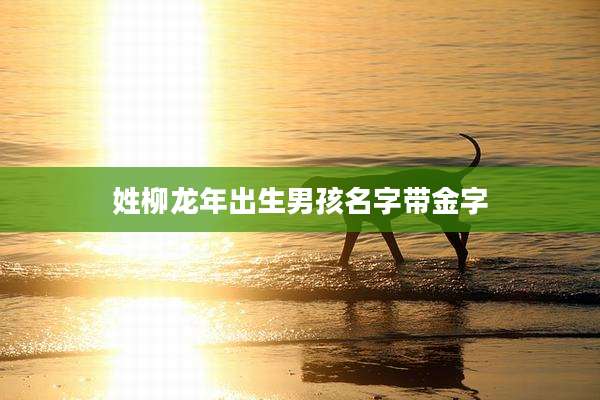 姓柳龙年出生男孩名字带金字